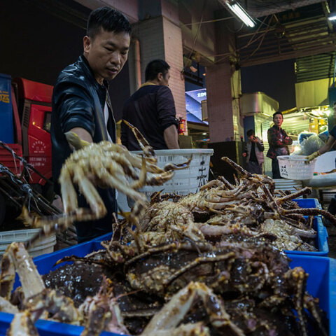 Υπαίθρια αγορά με θαλασσινά στην Κίνα - Καθησυχαστικός ο ΠΟΥ υποστηρίζει ότι δεν υπάρχει κίνδυνος μετάδοσης του κορωνοϊού από τα τρόφιμα και τις συσκευασίες τους