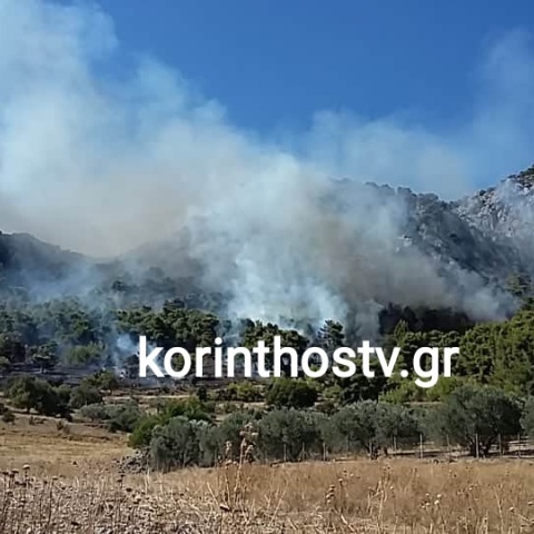 Φωτιά στην Κορινθία 