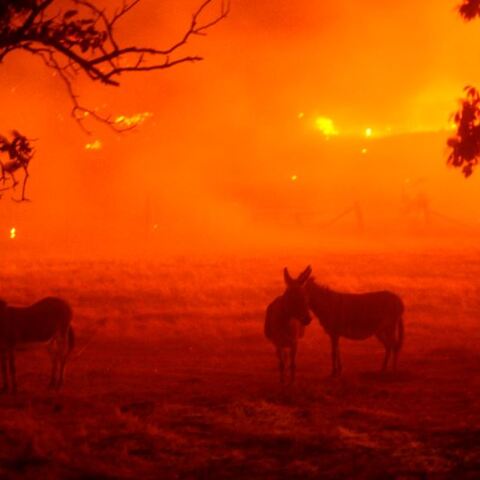 Φωτιές στην Καλιφόρνια 