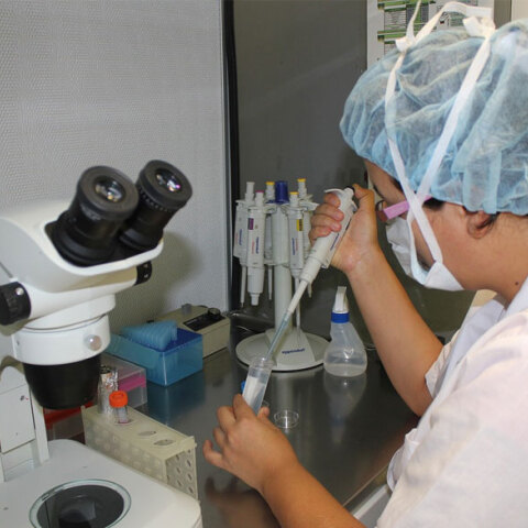 Έρευνες για τον κορωνοϊό