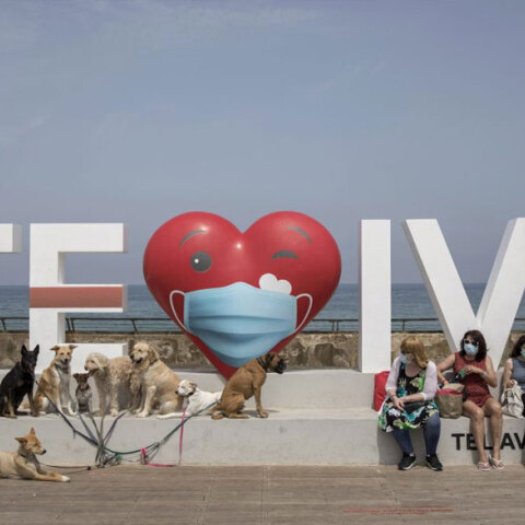 Κορωνοϊός στο Ισραήλ