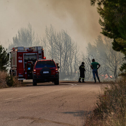 Δασική πυρκαγιά 