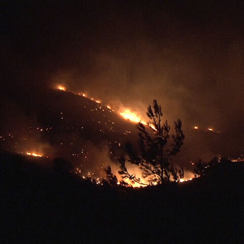 Δασική πυρκαγιά (ΦΩΤΟ ΑΡΧΕΙΟΥ)