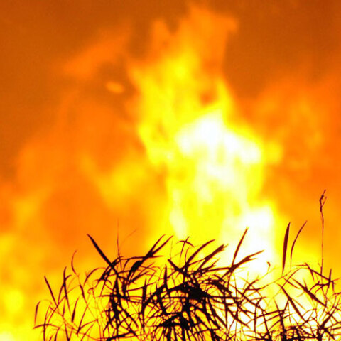 ΑΡΧΕΙΟ - ΦΩΤΙΑ 