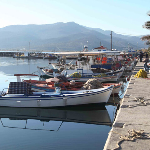  ΚΑΛΛΟΝΗ ΛΕΣΒΟΥ