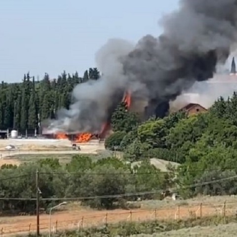 Φωτιά στην Αμερικανική Γεωργική Σχολή Θεσσαλονίκης