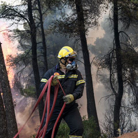 Δασική πυρκαγιά