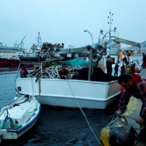 Ιχθυόσκαλα