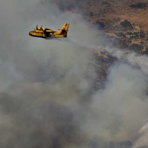 Φωτιά - Μυκήνες