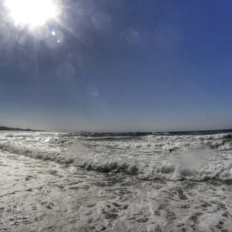 Πλούσιο σε μελτέμια το φετινό καλοκαίρι 