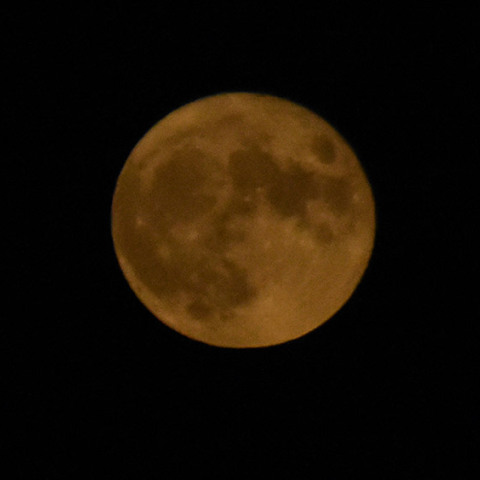 ΠΑΝΣΕΛΗΝΟΣ ΣΕΠΤΕΜΒΡΙΟΥ 2020