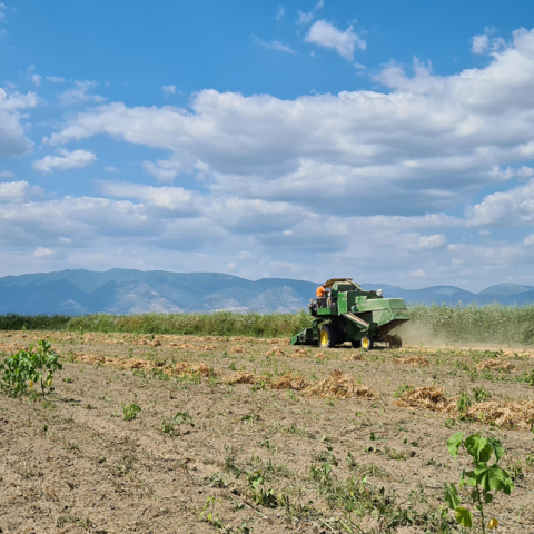 Η 3αλφα συναντάει την «Ομάδα Παραγωγών 3αλφα»