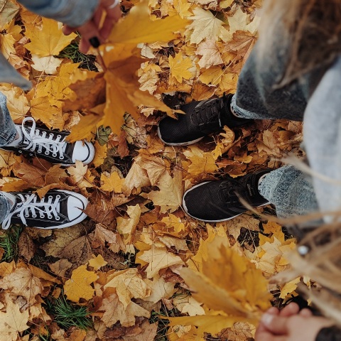 Κορίτσια στέκονται όρθια πάνω σε κιτρινισμένα, πεσμένα φύλλα δέντρων
