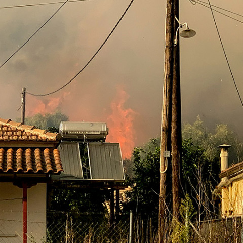 ΗΛΕΙΑ// ΠΥΡΚΑΓΙΑ ΣΤΟ ΧΩΡΙΟ ΔΑΦΝΗ