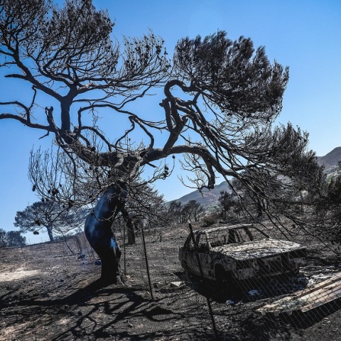 Κερατέα μία ημέρα μετά τη φωτιά