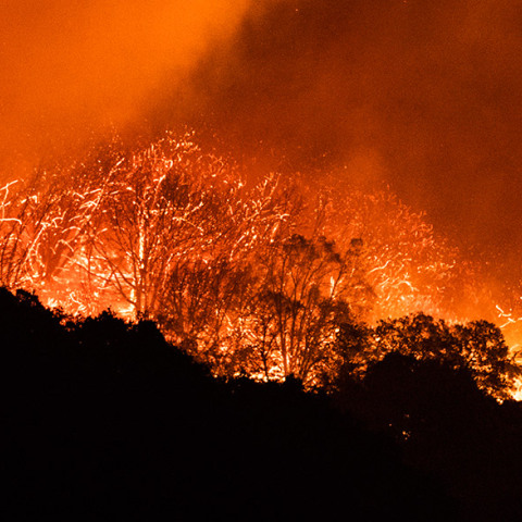 ΗΠΑ - Καλιφόρνια - Φωτιά 
