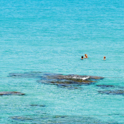 Φαλάσαρνα, Κρήτη
