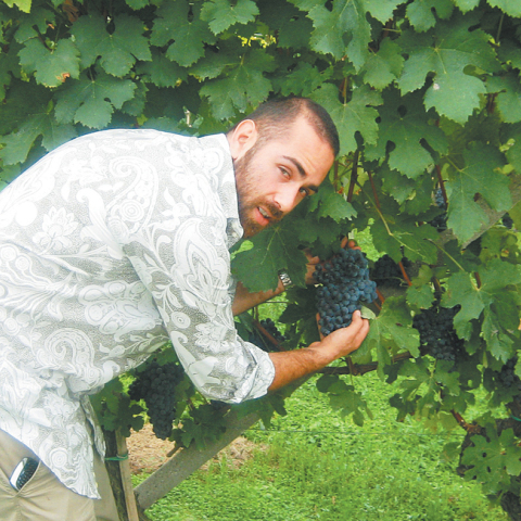 Η Λευκάδα του Άρη Βεζενέ