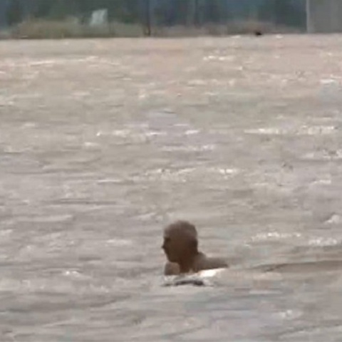 Φάρσαλα - Διάσωση