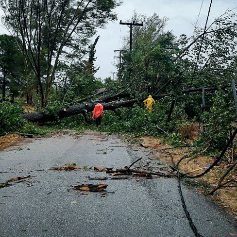 Ιανός - Καταστροφές - Ζάκυνθος