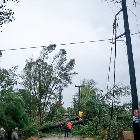 Ηλεκτροδότηση