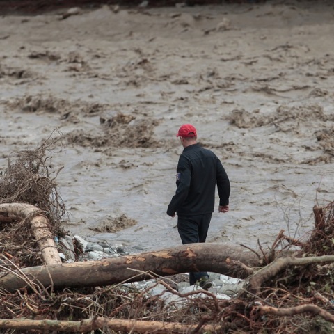 Ιανός - Καρδίτσα