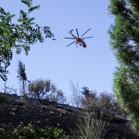 Φωτιά στον Υμηττό