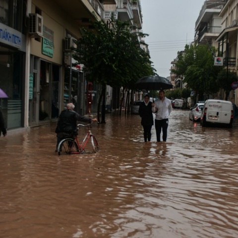 Ιανός - Καρδίτσα