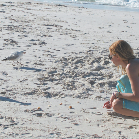 H Σύρος της Έλενας Σκουλά