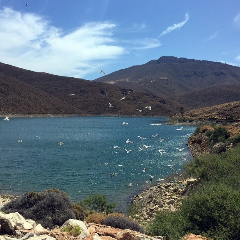 Αστυπάλαια 