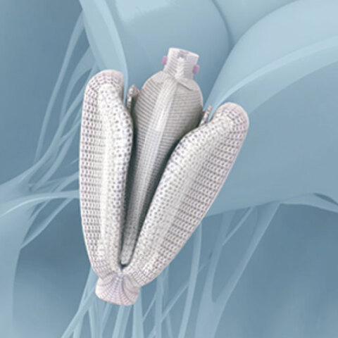 Διαδερμικές επιδιορθώσεις τριγλώχινας βαλβίδας