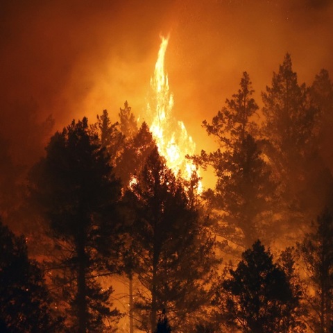 Πυρκαγιά Καλιφόρνια