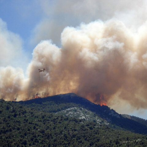 Αεροσκάφος επιχειρεί σε πυρκαγιά στο δάσος