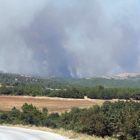 Φωτιά στον Έβρο