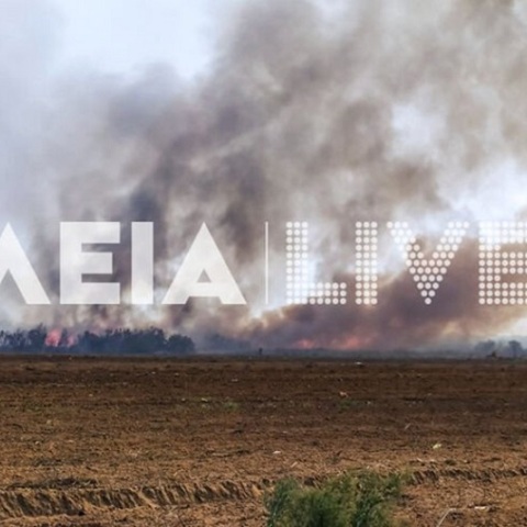 Φωτιά στη Μανωλάδα