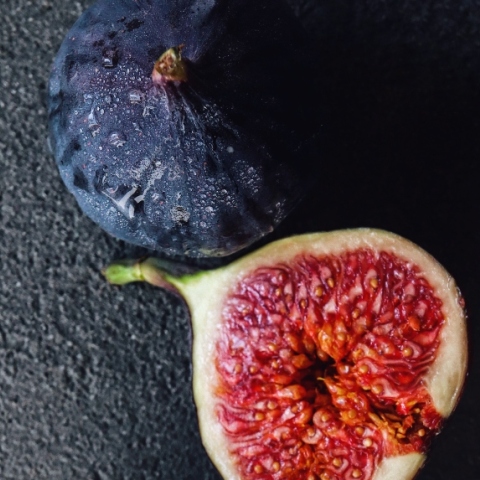 stories athens voice