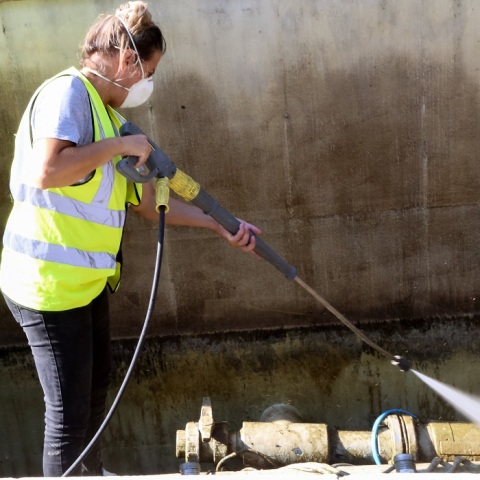 Απολύμανση