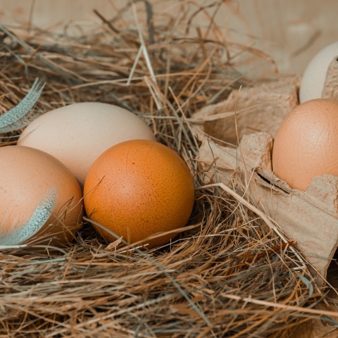 Παγκόσμια Ημέρα Αυγού 2020: Μία από τις πιο θρεπτικές τροφές 