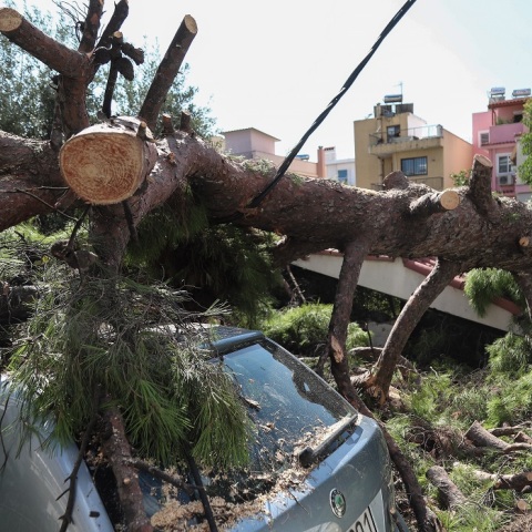 Πτώσεις δέντρων στο Νέο Ηράκλειο