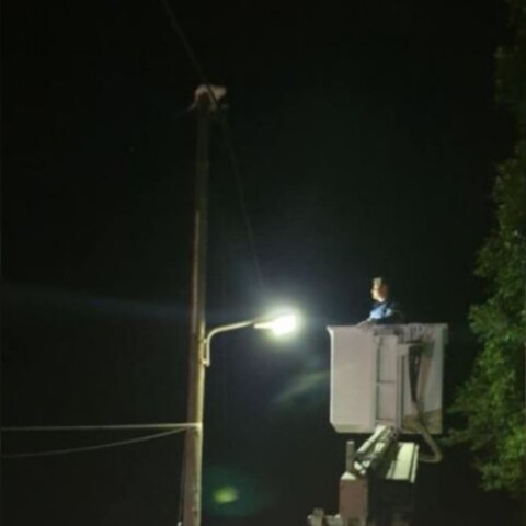 Επιχείρηση διάσωσης γάτας