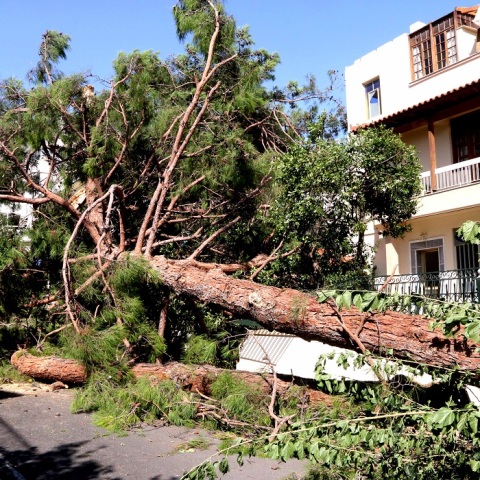 Ζημιές από την κακοκαιρία στο Νέο Ηράκλειο