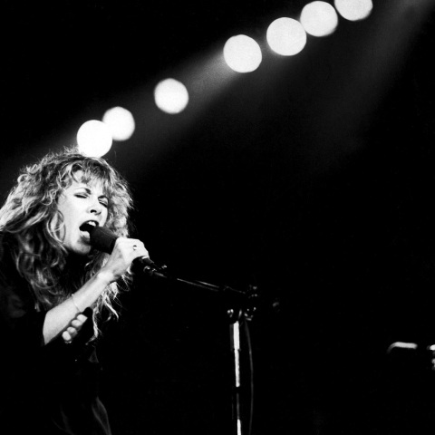 Η τραγουδίστρια Stevie Nicks