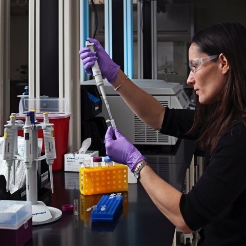 Εργαστήριο 