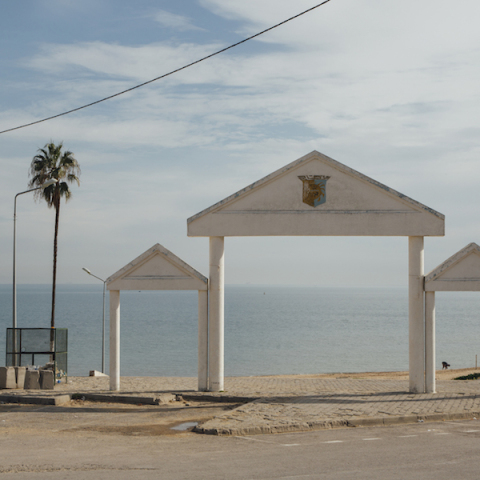 Η Μαρίνα Φωκίδη δίνει τα  SOS Talks της Art Art Athina Virtual 