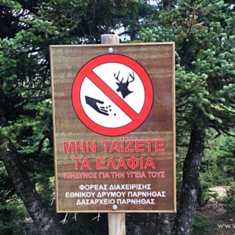 Πινακίδα «Μην ταΐζετε τα ελάφια» στην Πάρνηθα