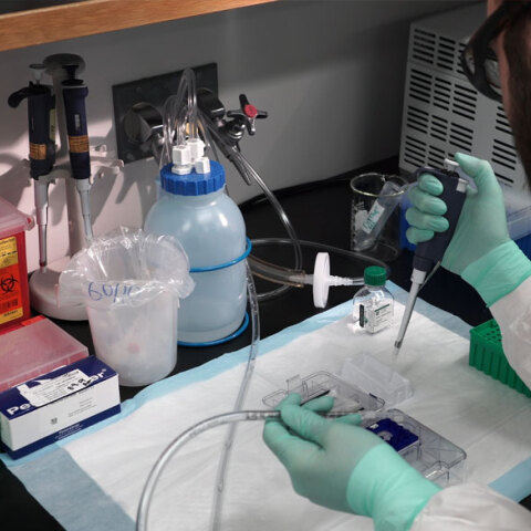 Ερευνητής σε εργαστήριο κάνει αναλύσεις για το εμβόλιο του κορωνοϊού