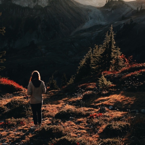 Τα Ζώδια της Πέμπτης 29 Οκτωβρίου 2020: Οι ημερήσιες αστρολογικές προβλέψεις από την Ευαγγελία Τσαβδάρη.