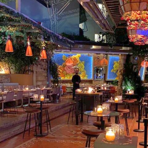 Ο κήπος του Balthazar