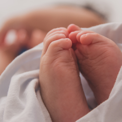 luma-pimentel--unsplash