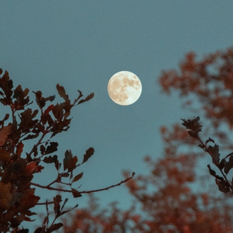Πανσέληνος στον Σκορπιό στις 31 Οκτωβρίου 2020